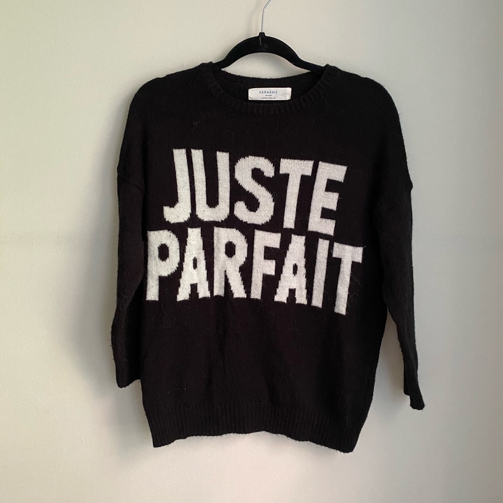 Zara Knit Juste Parfait Sweater